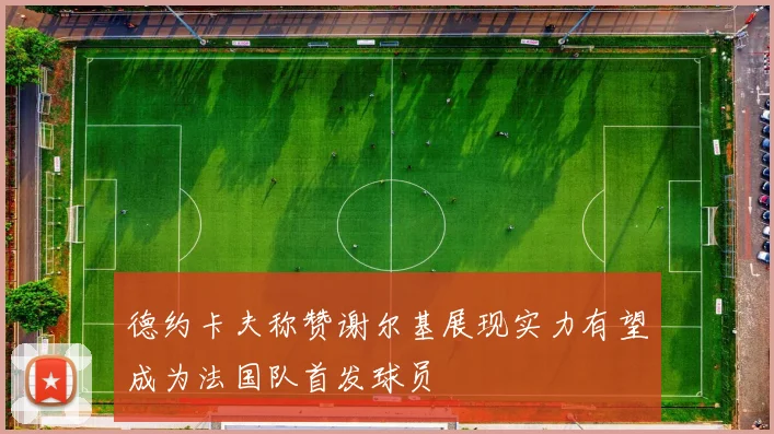 德约卡夫称赞谢尔基展现实力有望成为法国队首发球员