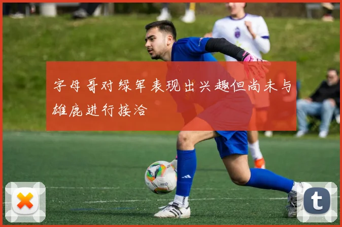 字母哥对绿军表现出兴趣但尚未与雄鹿进行接洽