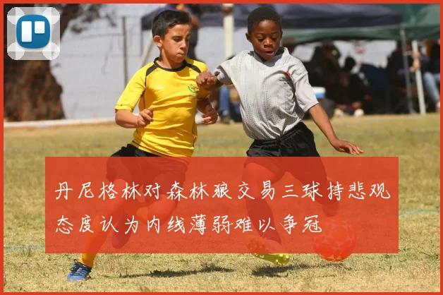 丹尼格林对森林狼交易三球持悲观态度认为内线薄弱难以争冠