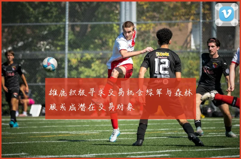 雄鹿积极寻求交易机会绿军与森林狼或成潜在交易对象