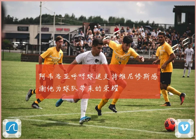 阿韦洛亚呼吁球迷支持维尼修斯感谢他为球队带来的荣耀
